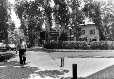 قصه‌ چندمین چنار؛ استنادی به نقش چنار در درام شهری تهران