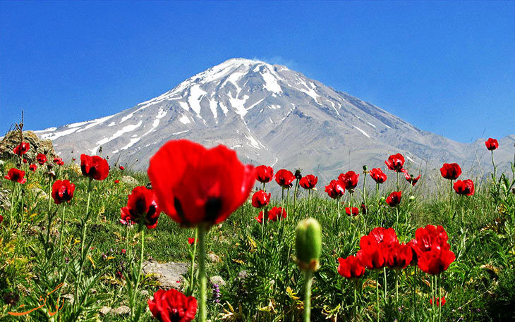 تا پای جان، برای ایران!
