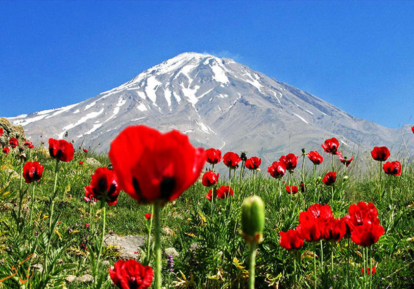 تا پای جان، برای ایران!