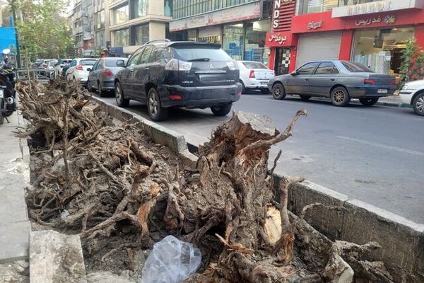 فروپاشی خیابان فلسطین؛ تاریخ عریان تهران