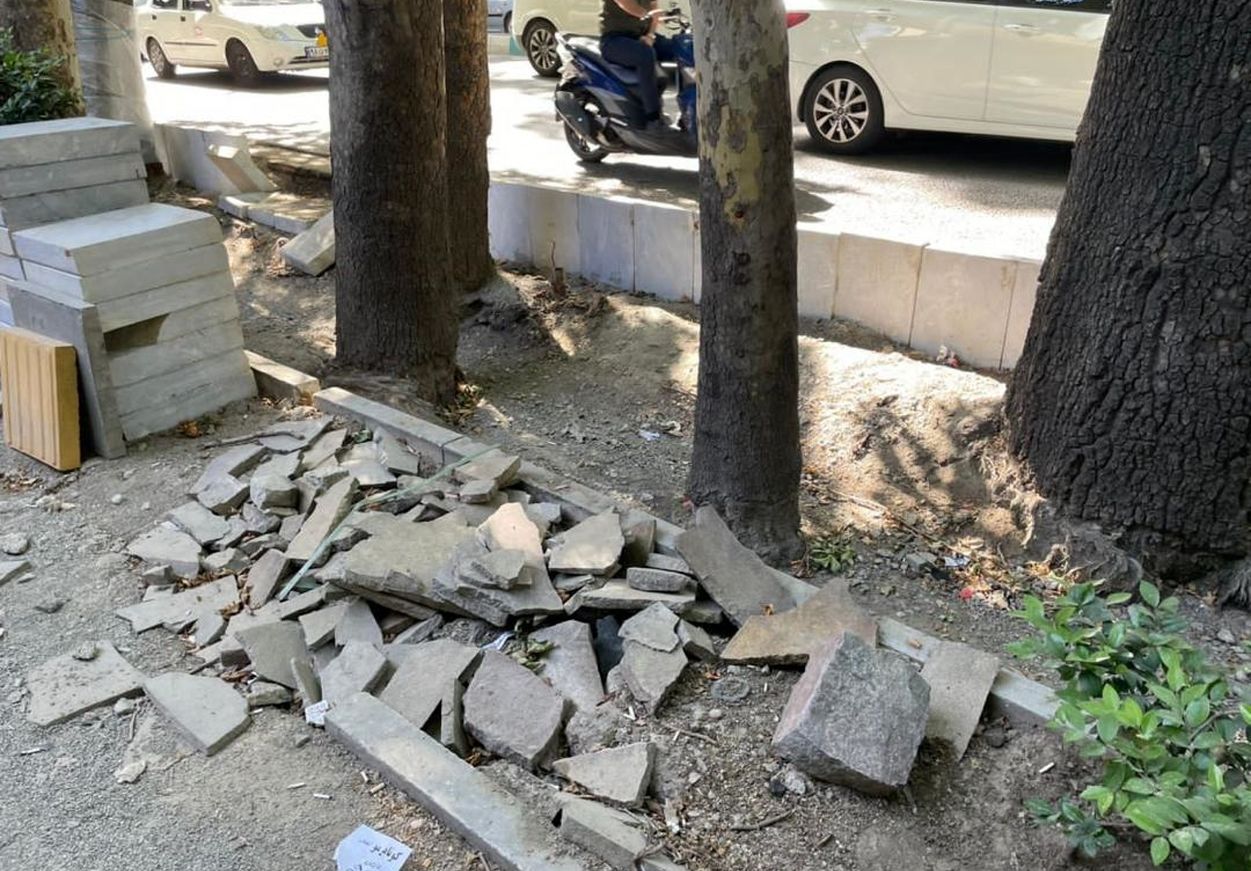 طرح بازسازی جوی خیابان ولیعصر میراث چنارستان را تهدید می‌کند